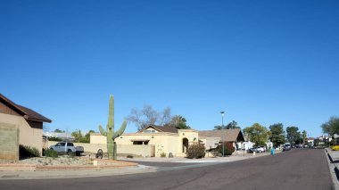 Phoenix, Arizona 'da güneybatı tarzı Xeriscaped Caddesi.