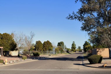 Kuzey-Batı Phoenix, AZ 'deki yerleşim bölgelerinde kuraklığa dayanıklı çalılar içeren Xeriscaped yol kenarları
