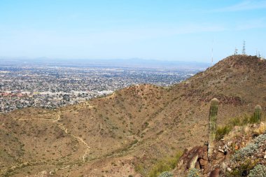Saguaro kaktüsü, Phoenix, Arizona 'da North Mountain Park yürüyüş parkının dik yamacında.