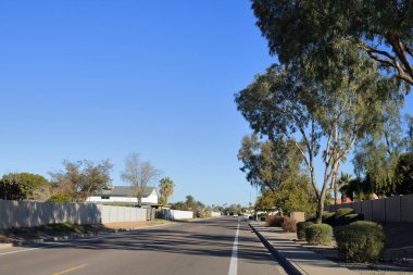 Kuzey-Batı Phoenix, AZ 'deki yerleşim bölgelerinde kuraklığa dayanıklı çalılar içeren Xeriscaped yol kenarları