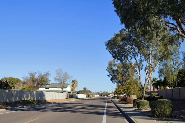 Carreteras Xeriscaped Con Arbustos Tolerantes Sequía Vecindario Residencial Noroeste Phoenix — Foto de Stock