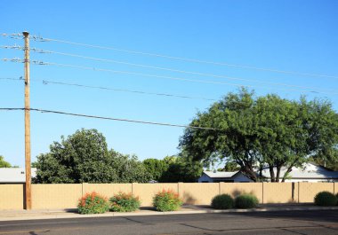 Arizona yol kenarındaki Kızıl Cennet Kuşu ve Phoenix şehrindeki kuraklığa dayanıklı çalılar ve ağaçlarla basit bir fotokopi.