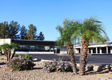 Phoenix, Arizona 'da Xeriscaped caddesi boyunca cüce palmiye ağaçları ve kuraklığa dayanıklı bitkiler ve çiçekler.
