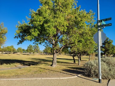 Büyük ağaçlar, çimenli oyun alanları ve Dos Lagos Park, Glendale, Arizona 'da yürümek için patikalar.
