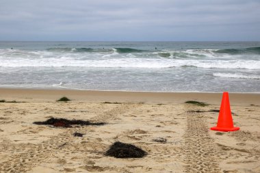 Kırmızı koni ve araç izleri. San Diego, California 'da, Pasifik kumsalında.