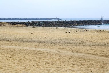 Point Medanos jetty and bay Entrance Channel as seen from South Mission beach in the morning, San Diego, California clipart