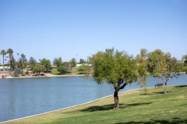 Kiwanis Park Gölü, Tempe, Arizona 'nın kıvrımlı kıyıları boyunca yeşil ağaçlar ve çimenler.