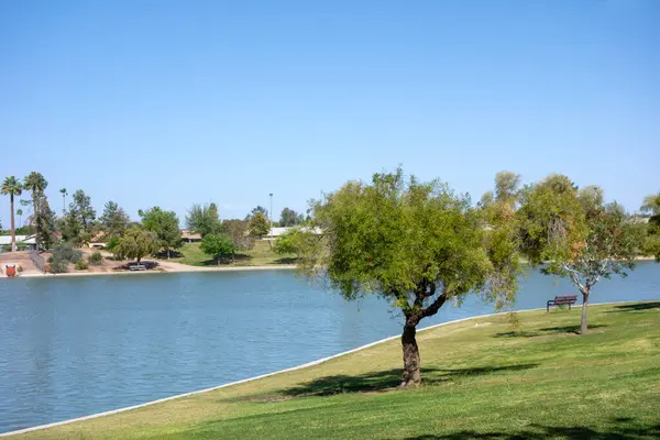 Kiwanis Park Gölü, Tempe, Arizona 'nın kıvrımlı kıyıları boyunca yeşil ağaçlar ve çimenler.