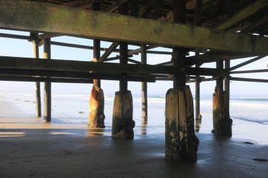 Tarihi kristal rıhtımın altında, okyanus çökeltileriyle kaplı kereste yığınlarının arasında, San Diego, California