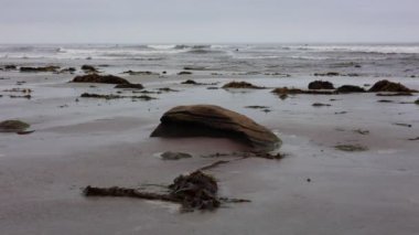 Tourmaline ya da Old Man Sörf Parkı 'nda rüzgarlı bir sabah. Kayalar ve yosunlarla kaplı. San Diego, California.