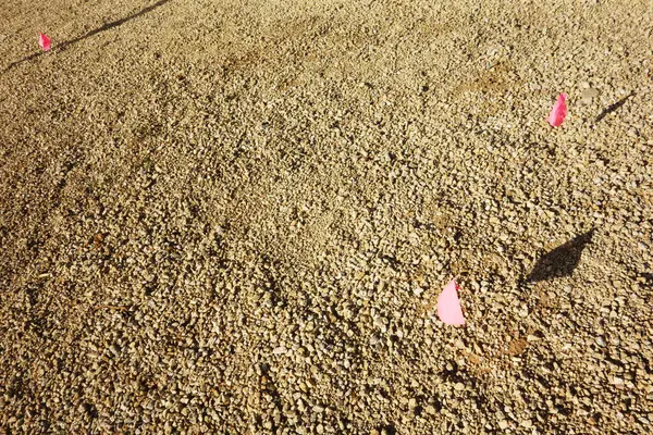 Çöl tarzı mezarlarla kaplı yere yerleştirilmiş parlak kırmızı servis işaretleri.