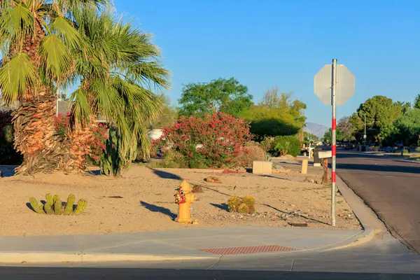 Şehir kavşağında çöl stili Xeriscaped araziler ve tropikal aksanlı kral palmiyeleri ile İlkbahar sabahı erken saatlerde, Phoenix, Arizona