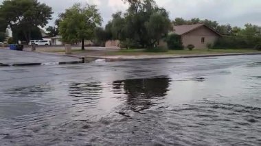 Phoenix, Arizona 'daki yerleşim yerlerinde sonbahar yağmuru sularını sel bastı