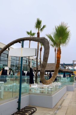 Sahile bakan yemek mekanları. Mission Beach, San Diego, Güney Kaliforniya 'da palmiyeleri bükülen yerler.