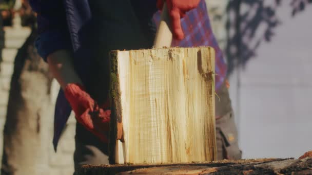 Zbieram Drewno Zimę Dorosły Człowiek Rąbiący Drewno Siekierą Zima Nadchodzi — Wideo stockowe