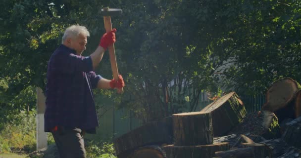 收集木柴过冬 成年人用斧头砍柴 乌克兰的冬天就要到了 — 图库视频影像