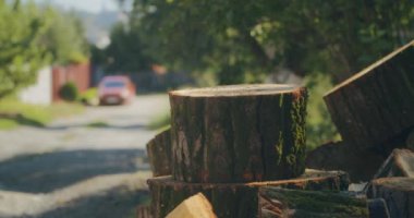 Kış için odun topluyorum. Yetişkin bir adam baltayla odun kesiyor. Ukrayna 'da kış geliyor.