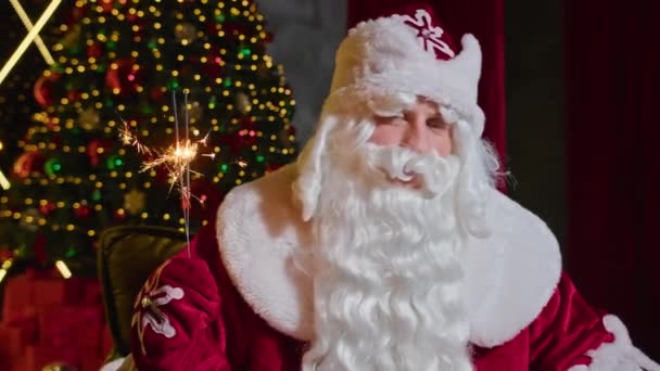 Weihnachtsmann Und Frau Weihnachtsmann Wünschen Frohe Weihnachten — Stockvideo