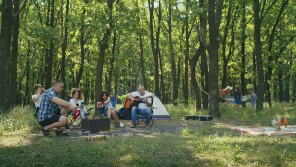 친구들 그리고 그들의 친구들 숲에서 소풍을 즐기고 있습니다 여름에 야영을 — 비디오