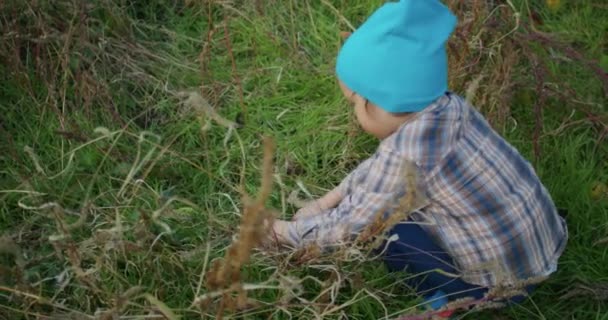 Uma Criança Anos Está Feliz Pegando Maçãs Com Vovô Jardim — Vídeo de Stock