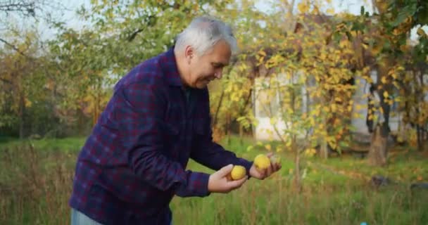 Enfant Ans Est Heureux Cueillir Des Pommes Avec Grand Père — Video
