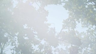 İki savaşçının kanındaki mistik kardeşlik ayini. Rahibe ve şaman infaz sürecini denetliyor.