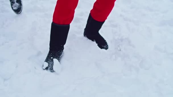 Giovane Coppia Uomo Donna Divertono Inverno Primo Appuntamento Umore Invernale — Video Stock