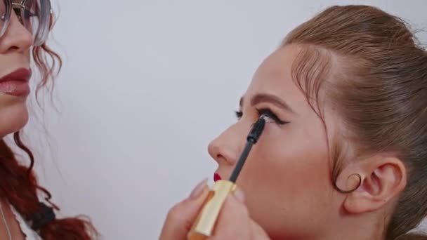 Cosmetics Work Stylist Makeup Artist Women Paint Lips Eyes Face — 图库视频影像