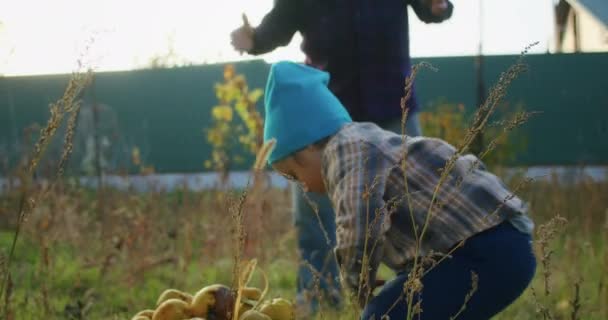 Ένα Τρίχρονο Παιδί Χαίρεται Μαζεύει Μήλα Τον Παππού Στον Κήπο — Αρχείο Βίντεο