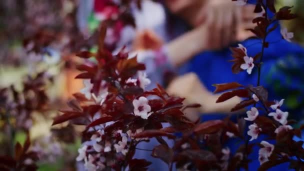 Happy Woman Rejoices Backdrop Blooming Pink Sakura Flowers Weekend Stroll — Stock Video