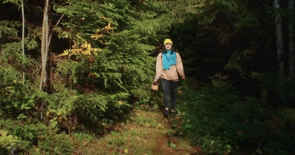 Récolte Champignons Agariques Mouches Dans Forêt Automne Après Pluie Dans — Video