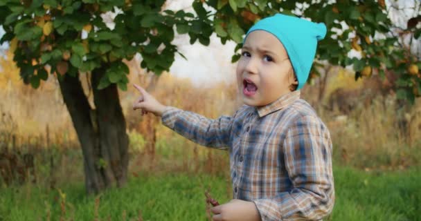 Enfant Ans Est Heureux Cueillir Des Pommes Avec Grand Père — Video