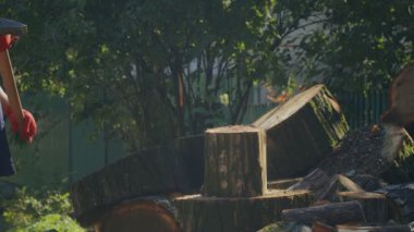 Kış için odun topluyorum. Yetişkin bir adam baltayla odun kesiyor. Ukrayna 'da kış geliyor.