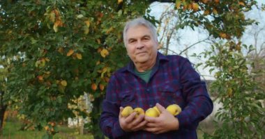 3 yaşındaki bir çocuk bahçede büyükbabasıyla elma toplamaktan mutlu olur, eğlenir, onları bir ağaçtan toplar, bir kovada toplar ya da dedesine verir..