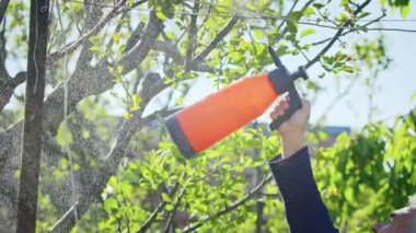 Çiftçi bahçedeki ağaçları ilaçlıyor. Tarım. Toplu çiftlikte tarımcı. İşçi çiftlikte çalışıyor. Tarım konsepti. İş Çiftliği, Bahar.