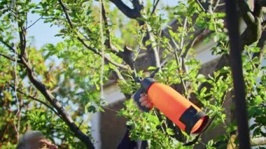 The farmer sprays the trees in the garden. Agriculture. Agronomist on a collective farm. The worker works on the farm. Agriculture concept. Business Farm, Spring.