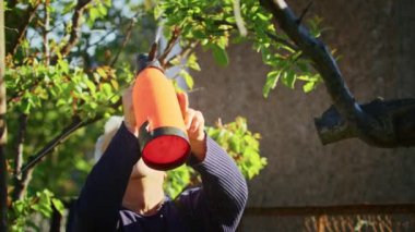 The farmer sprays the trees in the garden. Agriculture. Agronomist on a collective farm. The worker works on the farm. Agriculture concept. Business Farm, Spring.
