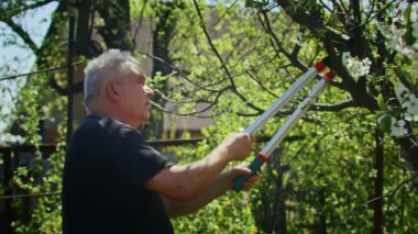 Çiftçi bahçedeki ağaçları keser. Tarım. Toplu çiftlikte tarımcı. İşçi çiftlikte çalışıyor. Tarım konsepti. İş Çiftliği.