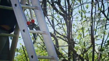 Çiftçi bahçedeki ağaçları keser. Tarım. Toplu çiftlikte tarımcı. İşçi çiftlikte çalışıyor. Tarım konsepti. İş Çiftliği.