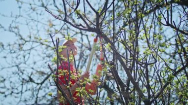 Genç kadın çiftçi bahçedeki ağaçları kesiyor. Tarım. Toplu çiftlikte tarımcı. İşçi çiftlikte çalışıyor. tarım kavramı. iş çiftliği.