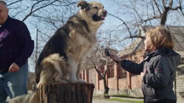 Watch Heartwarming Bond Man His Cute Basenji Dog Showcase Friendship — Stock Video