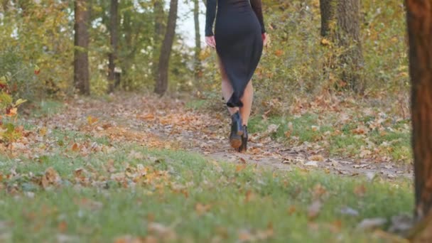 一位身穿黑色死亡礼服的年轻女子穿着圣母院的化妆品 落日时分 在森林的秋叶的背景下漫步 死亡日或万圣节的概念 — 图库视频影像