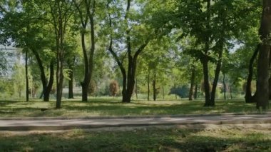 playful girl enjoys summer and rides a scooter through the park and city streets