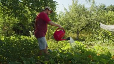 Elinde sulama kabıyla, yeşil parmaklı çiftçi yemyeşil bahçedeki bitkileriyle ilgilenir. Yukarıdan güzel bir manzara organik tarımın güzelliğini yakalar..