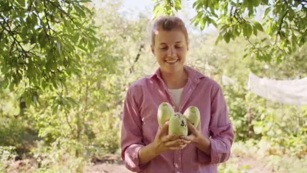 Sommarskörden Full Gång När Denna Kvinna Samlar Zucchini Från Sin — Stockvideo