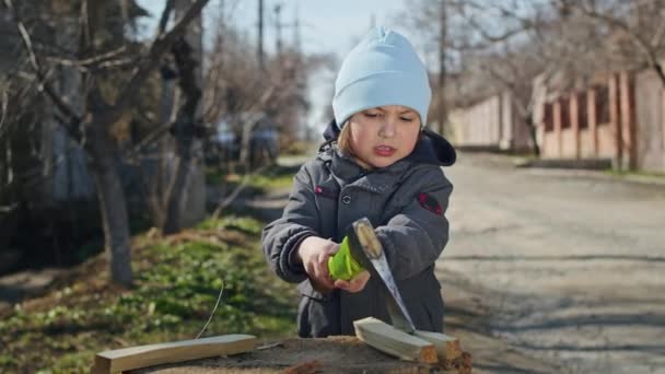 Join Charming Boy His Family Work Together Gather Firewood Home — Stock Video