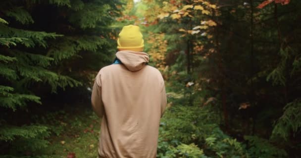 Sklizeň Muškařských Hub Podzimním Lese Dešti Horách Toxické Mušky Agarické — Stock video