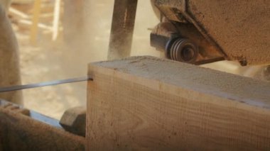 Kereste fabrikasındaki işçilerin güçlü testereleriyle ormanı kesmelerini, odunları yakacak oduna ve ustaca hazırlanmış ellerle talaşları ve yakın çekim atışlarını izleyin.