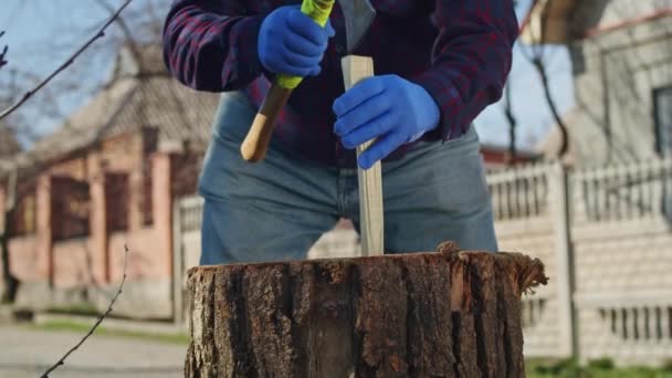 安全とチームワークを最優先しながら薪を家で収穫するために一緒に働くこの賢明な老人と彼の家族に参加してください — ストック動画