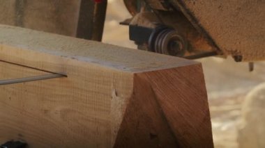 Bıçkıhaneye ve ormandaki odunları kesmek için testerelerini kullanan yetenekli işçilere daha yakından bakın. Odunları yakacak odun ve ellerinin yakın çekimleriyle talaş haline getiriyorlar..